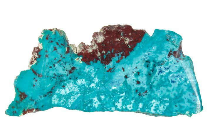 Vibrant Chrysocolla and Shattuckite Slab - Mexico #348731